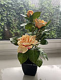 Троянда чайна штучний кущ в горщику 29 см, фото 4