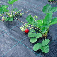 Агротканина