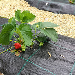 Агротканина Agrocover (Juta, Чехія)