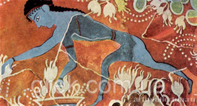 Собиратель шафрана (Собиратель цветов). Фрагмент фрески Кносского дворца 1700-1600 до н.э. Музей Ираклион