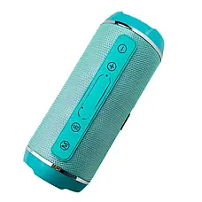 Колонка портативна T&G TG116 Bluetooth FM бірюзовий, фото 5