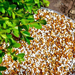 Добриво пролонгованої дії