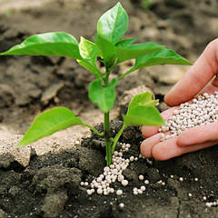 Мінеральне добриво