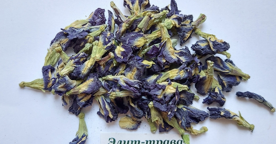 Железница кримська / татар-чай трава (Siderifis taurica Steph).100 гр., фото 1