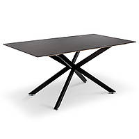 Сучасний великий обідній кухонний стіл 160х90 см кераміка для кухні їдальні прямокутний Грінвіч