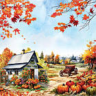 Набір двостороннього паперу 30.5х30.5см Fabrika Decoru "Bright autumn" 11 листів FDSP-01129, фото 8