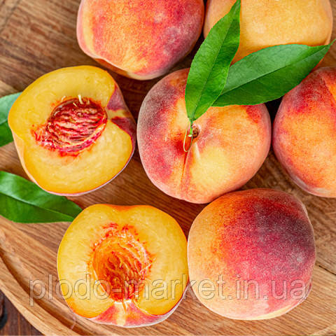 Персик "Коллінз" (середньоранній, самоплідний), фото 1