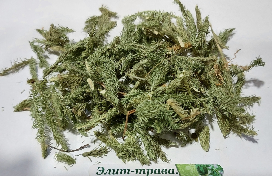 Плаун баранець булавоподібна трава 500 грам