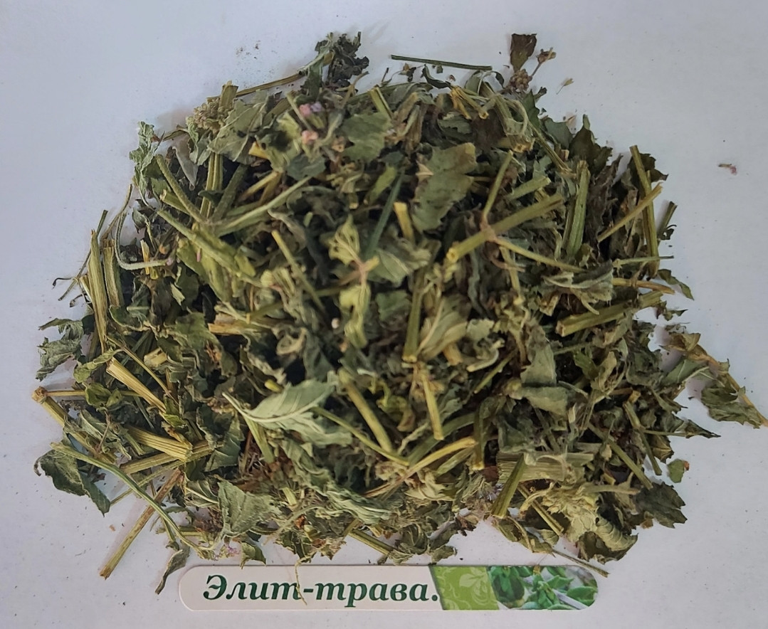 М'ята водяна (болотна) 500 грам