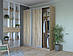 Шафа-купе трьохдверна Doros Сіті 24 208х60х240 см Дуб сонома/1 Дзеркало (DRS-011052)+, фото 2