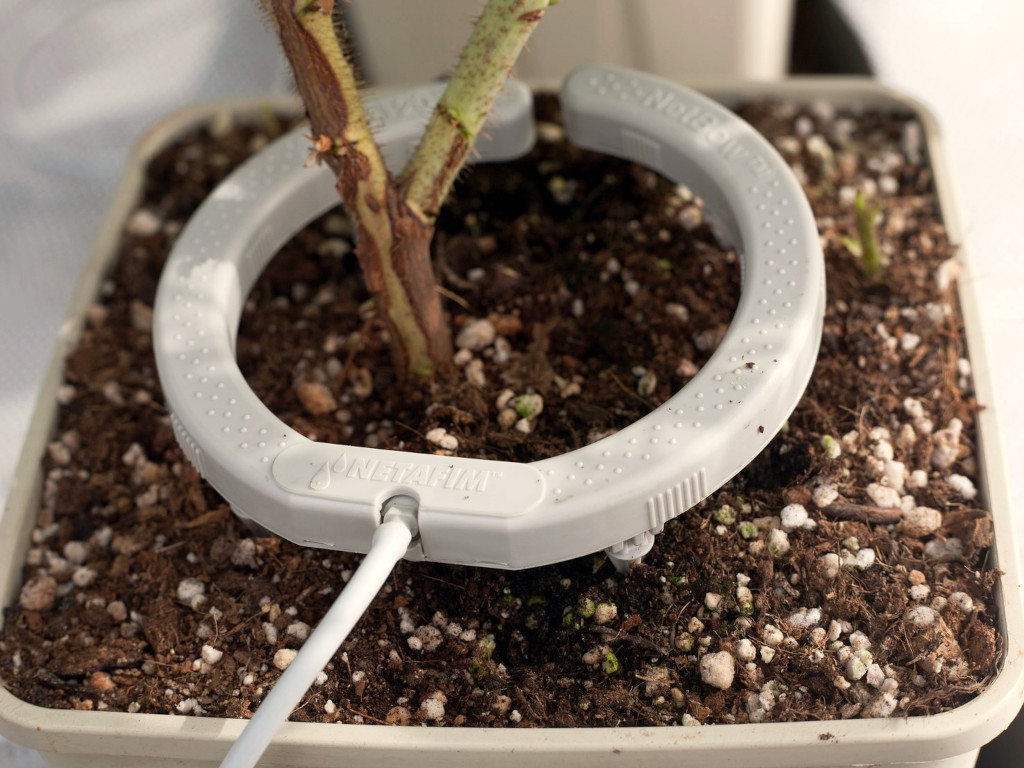 Набір для поливання рослин у контейнерах Netafim NetBow 12 см