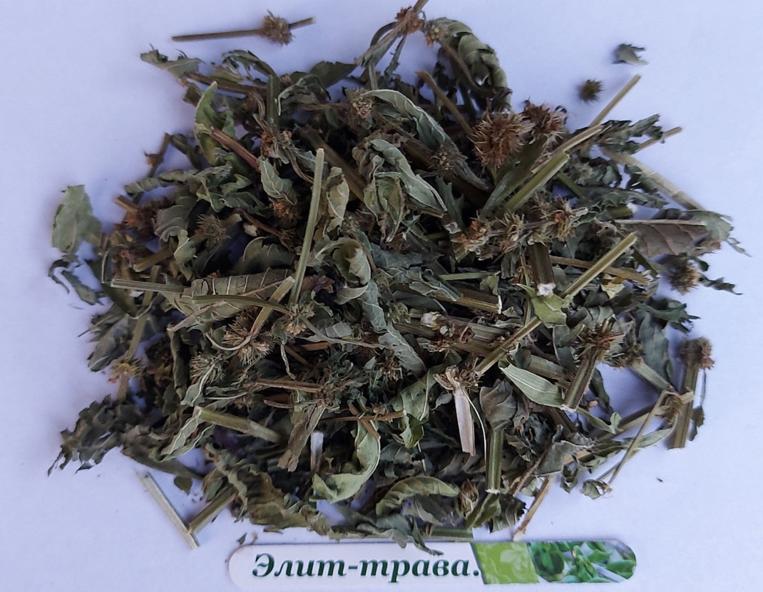 Зюзник європейський трава 1 кг