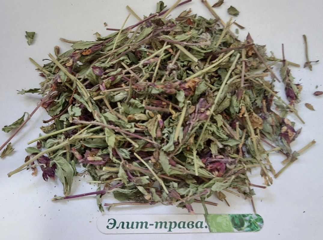 Дубровик звичайна трава 1 кг