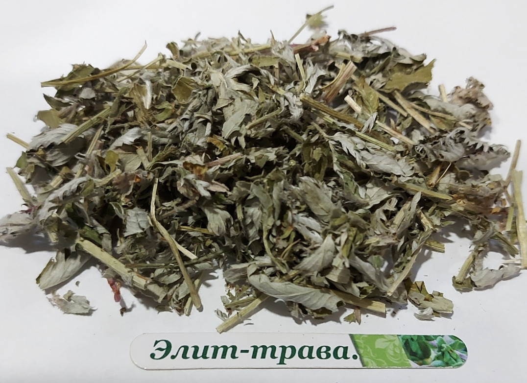 Лапчатка гусяча трава (лапчовка жовта) 1 кг