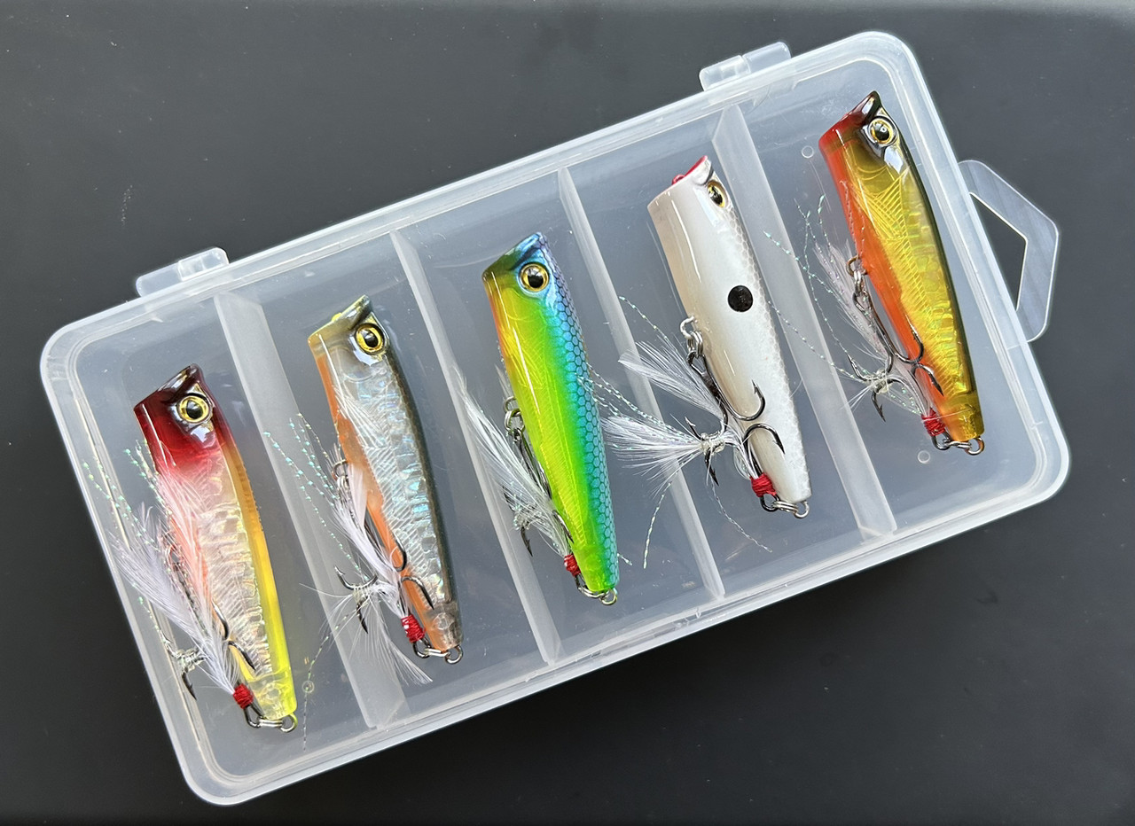Набір Воблер Fishing  3DS Popper 65F 65mm 7g (набір 5шт+коробка)