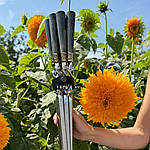 Товар тижня