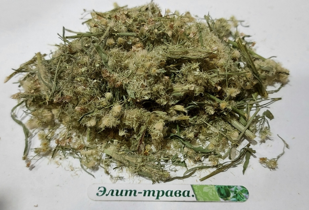 Мелколепестник канадський трава (заткни гузно) 500 грамів