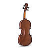 Скрипка Stentor 1500/F Student II Violin Outfit 1/4, фото 2