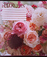 Зошит загальний 96 аркушів В-5 клітинка червоні поля обкладинка повноколірна ТВ-17 Бриск