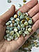 Крихта Амазоніт 7-9 мм без отвору, галтовка з натурального каменю, ціна за 10 грам, фото 8