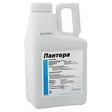 Гербіцид Пантера 5 л, фото 4