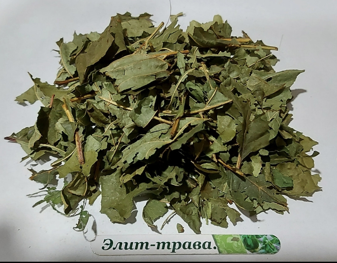 Вільха листя 1 кг