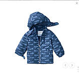 Розкішна дитяча вітровка, дощовик, куртка від tcm tchibo (Чібо), Німеччина, 98-104 см, фото 2