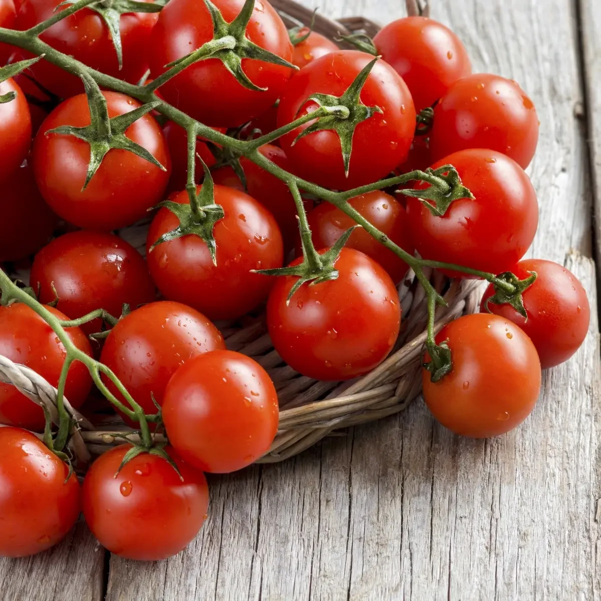 Насіння томат Моншері ф1 8шт. черрі