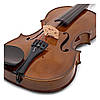 Скрипка Stentor 1500/F Student II Violin Outfit 1/4, фото 3