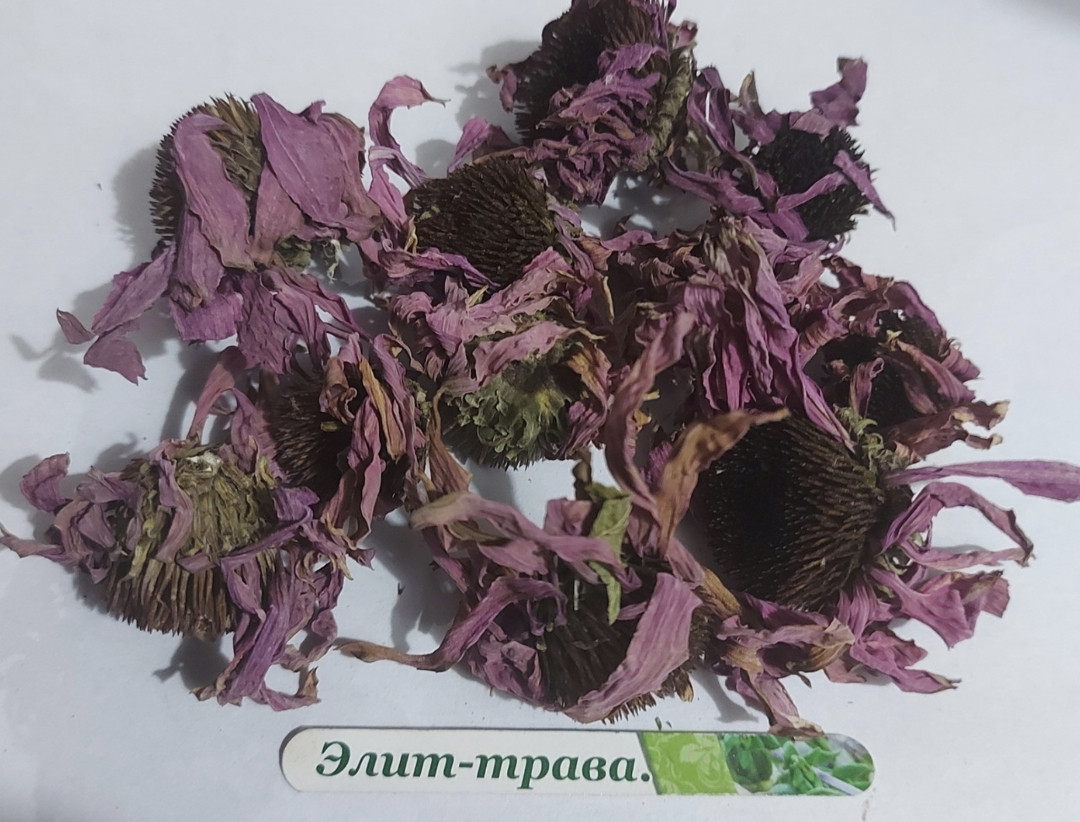 Ехінацея квіти 1 кг
