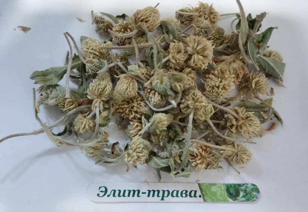 Клевер квітки сушені 1 кг