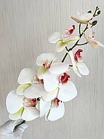 Штучна орхідея фаленопсис 3 D ( латекс 97 см), фото 4