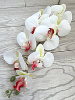 Штучна орхідея фаленопсис 3 D ( латекс 97 см), фото 5