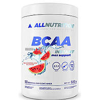 БЦАА амінокислоти + Глутамін BCAA 2:1:1 Glutamine Max Support Instant Allnutrition 500 g смак Кавун
