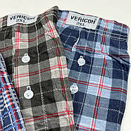 Чоловічі сімейні труси з преміальної бавовни Vericoh XL, фото 3