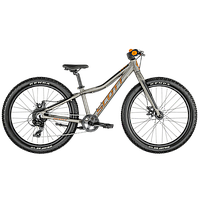 Scott Roxter 24 2024 ()