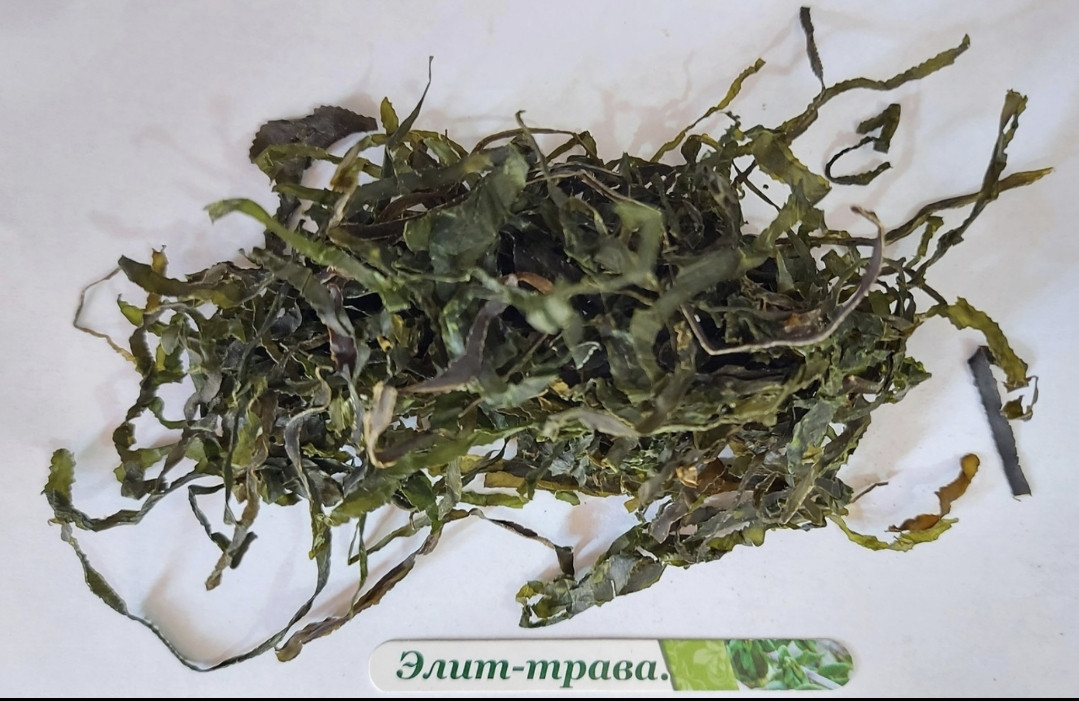 Капуста морська сублімована (ламінарія) 500 грамів