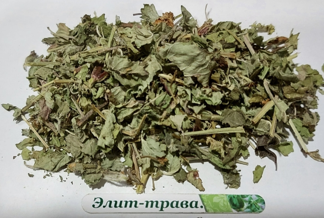 Будра плющеподібна трава витратна 500 грам