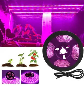 Світлодіодна ФітоЛента для кімнатних рослин IP65 12 В повний спектр 5 метрів від 220 вольтів SMD 2835