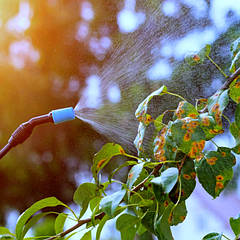 Засоби захисту рослин (ЗЗР)