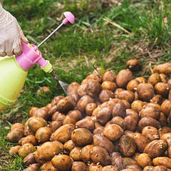 Протруйники насіння