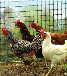 Вол'єрна сітка