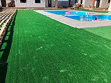 Штучна трава для вулиці ecoGrass SD-15, фото 5