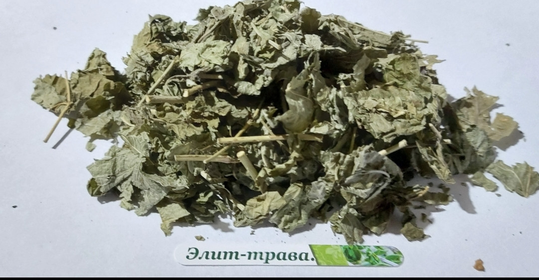 Ожина листя трави 500 грам
