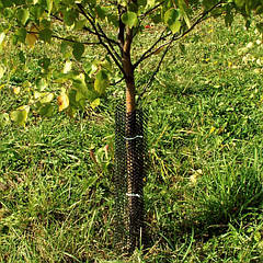 Сітка від зайців