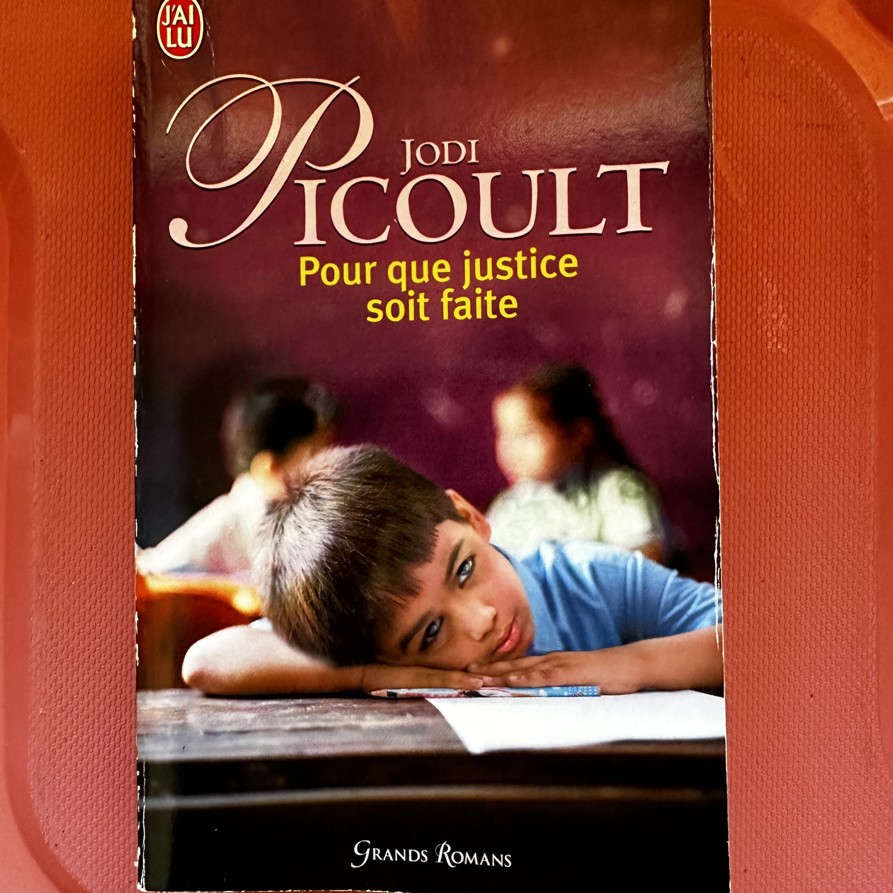 Jodi Picoult Pour que justice soit faite (роман французькою)