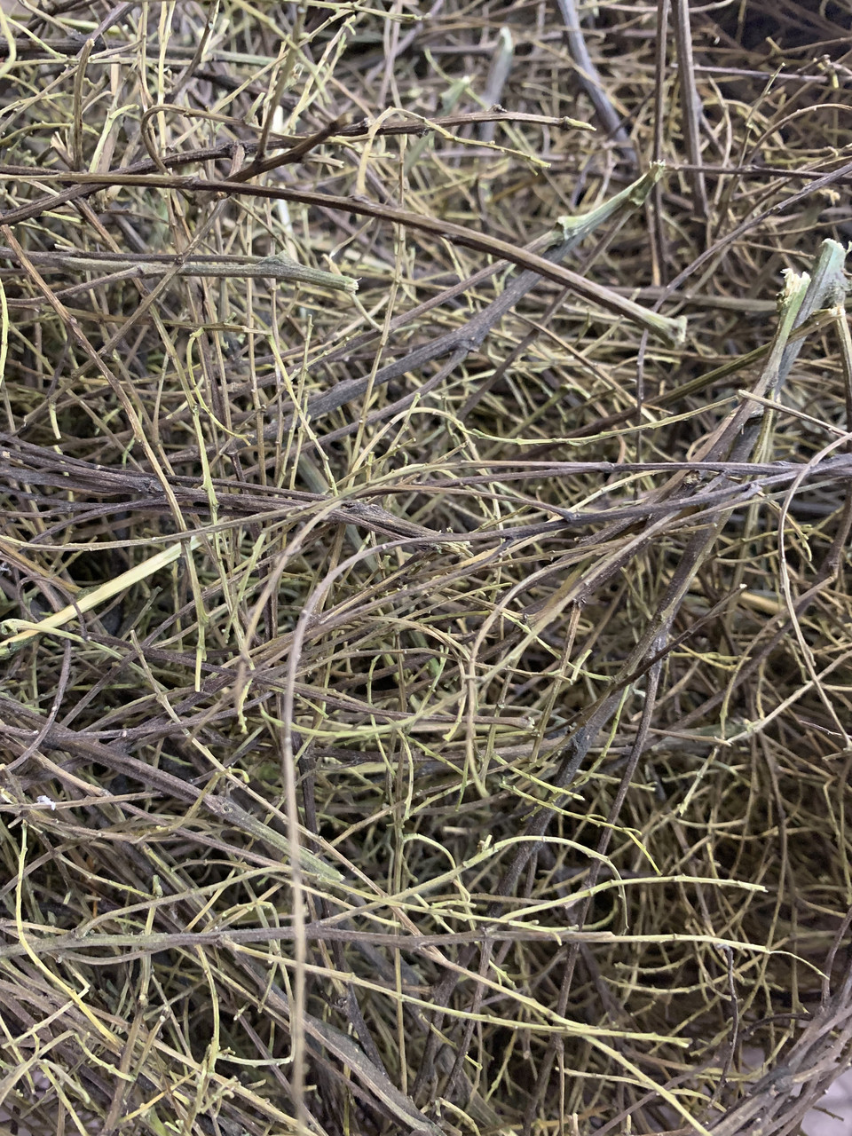 Софора японська гілочки трава 50 гр, фото 1