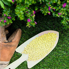 Сірка садова