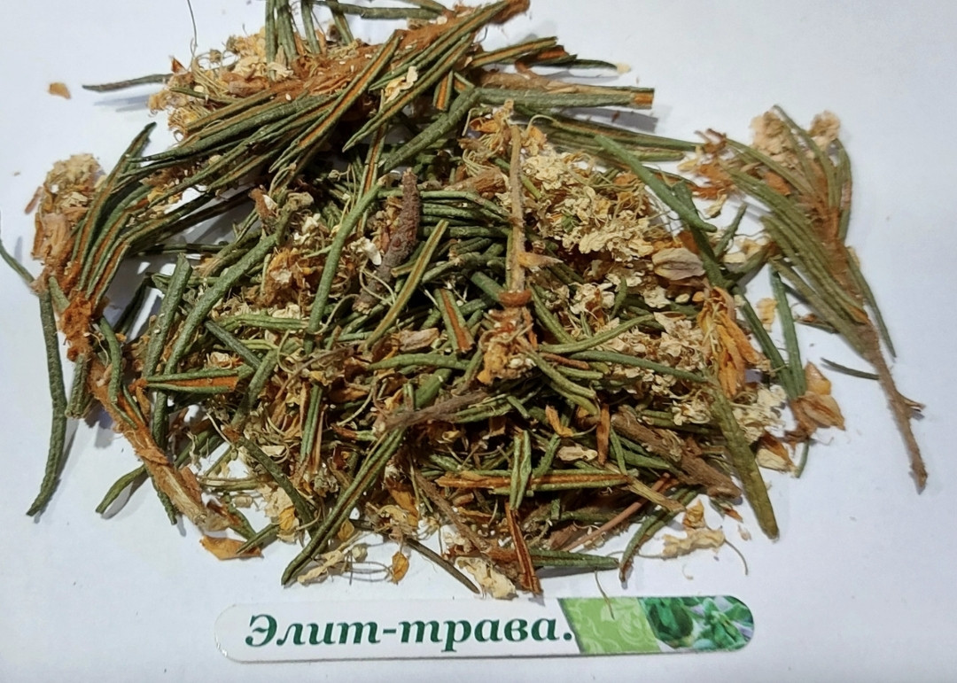 Багульник пагони 500 грам