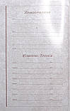 Навчальна Біблія з коментарями Джона Мак-Артура (рос.), фото 2